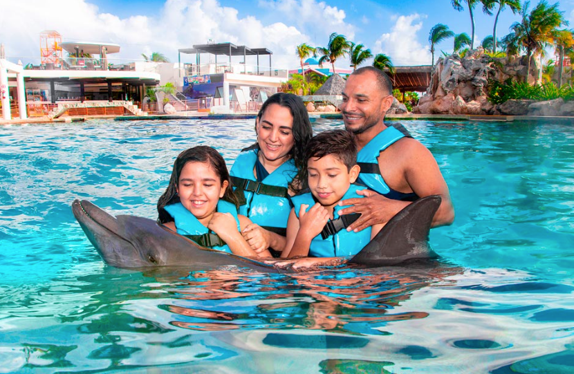 Dolphin Connection: Tu encuentro mágico con delfines en el corazón de Cancún