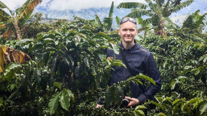 Brazilian specialty coffee growers seek to strengthen relationships with Middle East buyers at World of Coffee Dubai