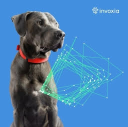 Invoxia BioMetric Smart Dog Collar